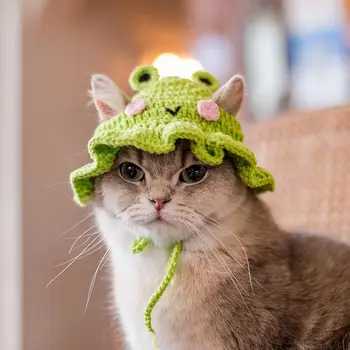 Pet Hat Очарователни външен вид Котка Шапки за домашни любимци Карикатура шапка Средна котка куче плетена шапка декор