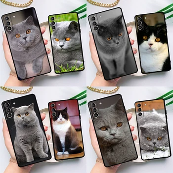 Британски късокосмест калъф за котки за Samsung Galaxy S23 S22 S21 Ultra S20 FE S9 S10 Note 10 Plus Note 20 Ultra Full Cover