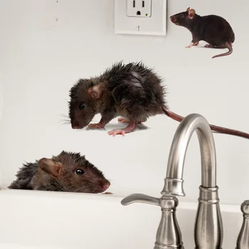 3D мишка смешно стена стикер баня кухня врата празнина тоалетна декорация Хелоуин симулация плъхове Начало Ваденки